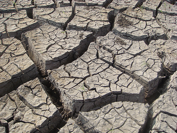 drought